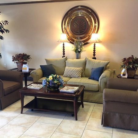 Memorial Inn And Suites Houston Eksteriør billede