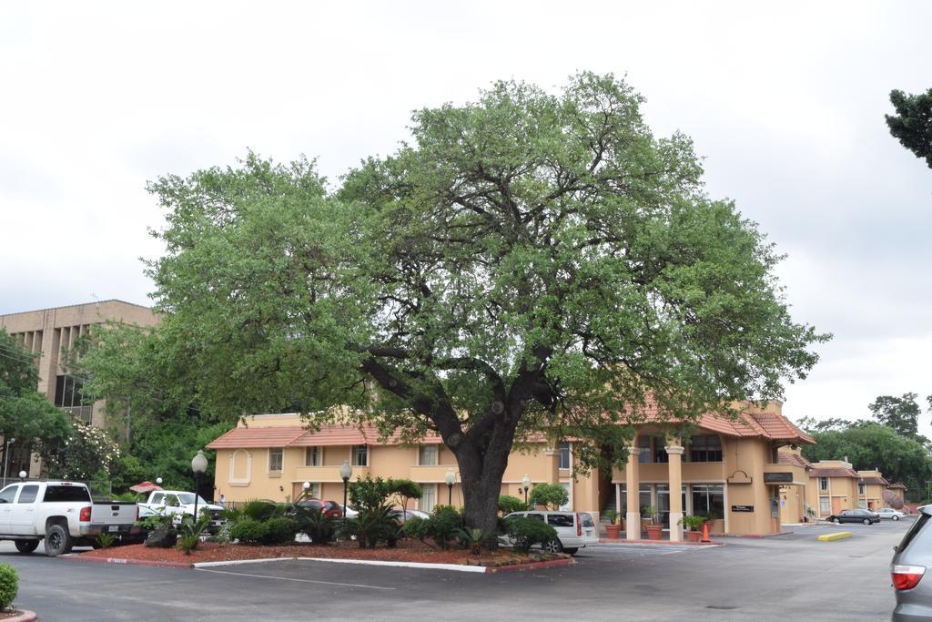 Memorial Inn And Suites Houston Eksteriør billede